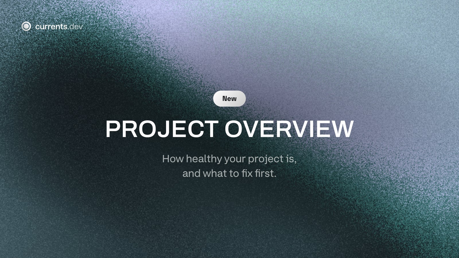 Project Overview